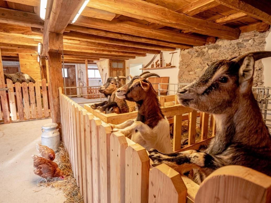 Zeiserhof Ramsau am Dachstein Exterior photo